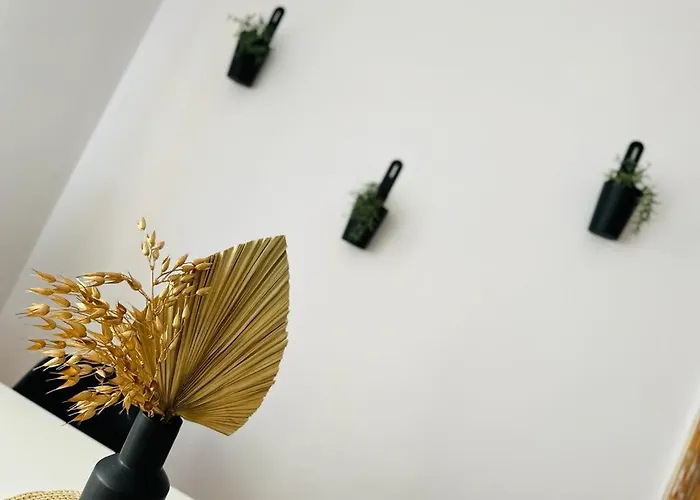 Music & Love Apartments And Rooms