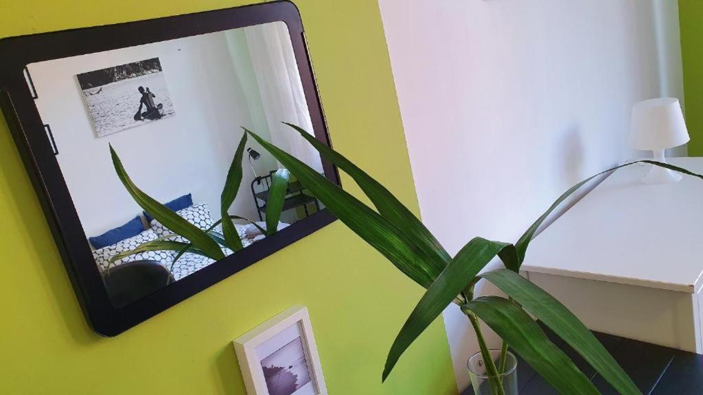 Music & And Apartment